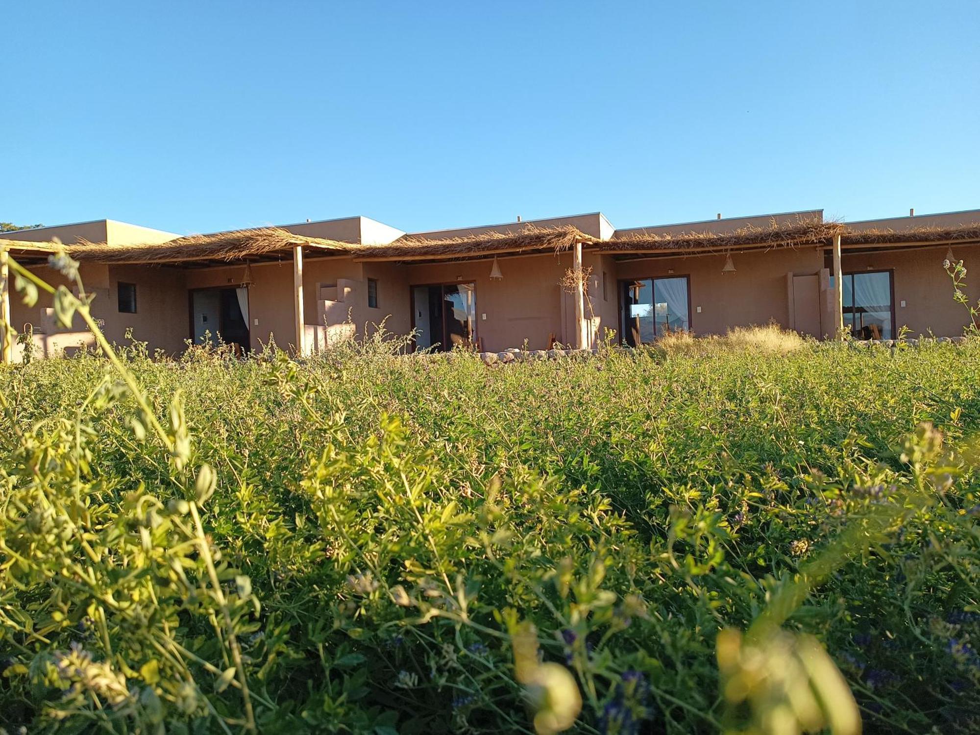Tiunur Lodge Solor Dış mekan fotoğraf